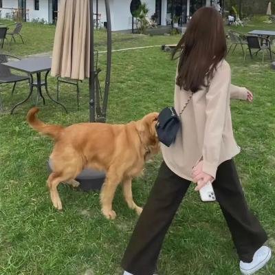 新不了情